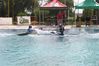 kayak_ferreira_2011_631.jpg